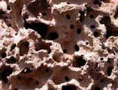 Termite Mound Detail, Brazil
