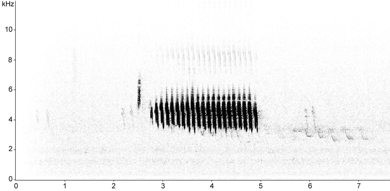 Sonogram of Arctic Warbler song