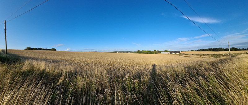 wheat field, Crosshouse, Ayrshire � Fraser Simpson