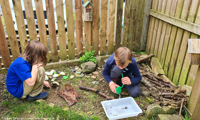 Young entomologists in the garden  Fraser Simpson