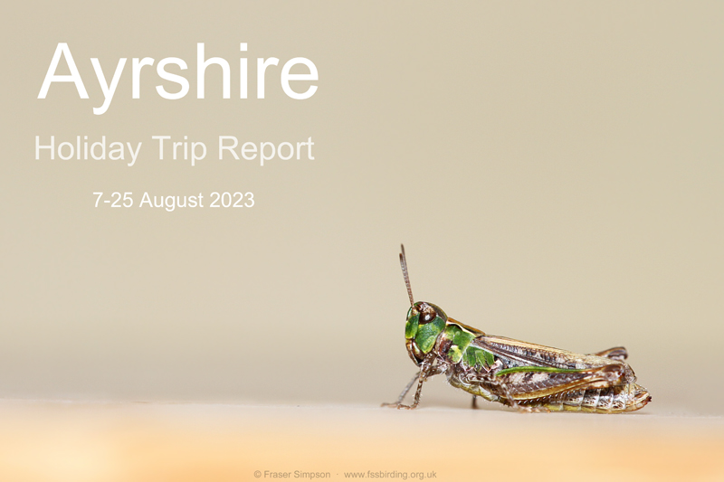 New trip report from Ayrshire 7-25 August 2023 � Fraser Simpson