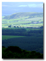 View to Knockbrake & Kildoon Hill