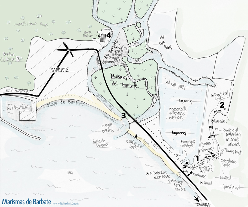 Map of Barbate showing the river, marshes, lagoons and old saltpans (Marismas del Barbate) © Fraser Simpson