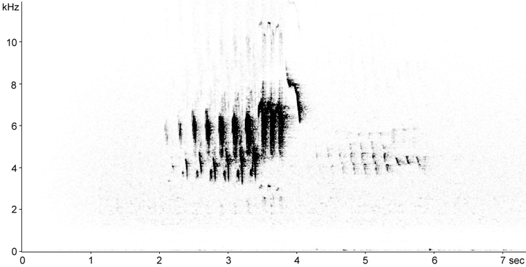 Sonogram of Blackburnian Warbler song