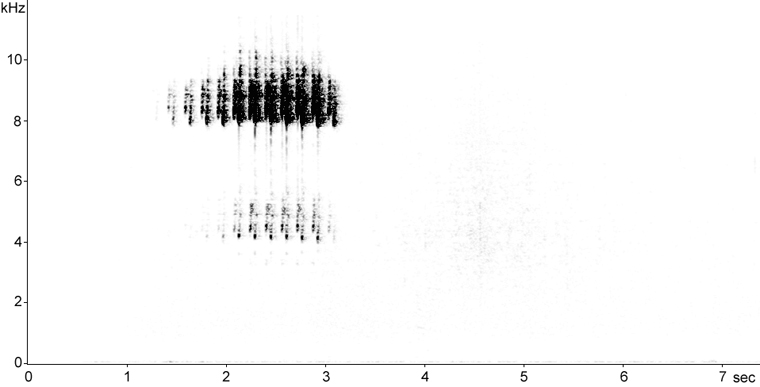 Sonogram of Blackpoll Warbler song