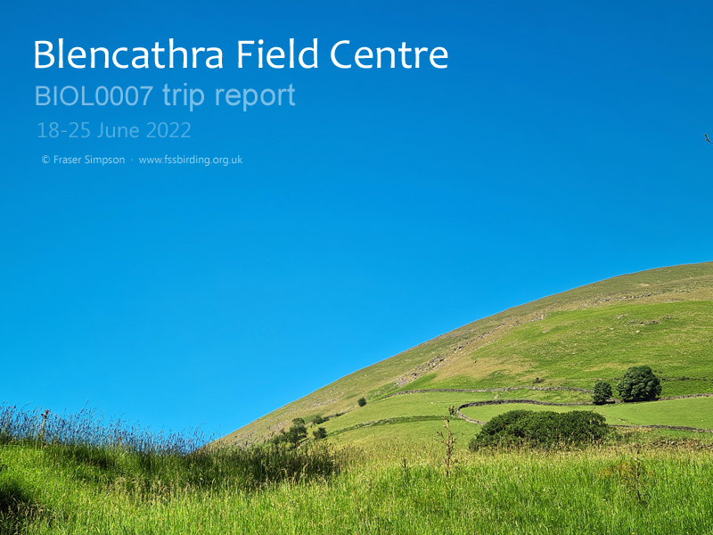 New trip report from Blencathra Field Centre, 18-25 June 2022