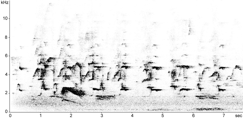 Sonogram of Common Buzzard calls