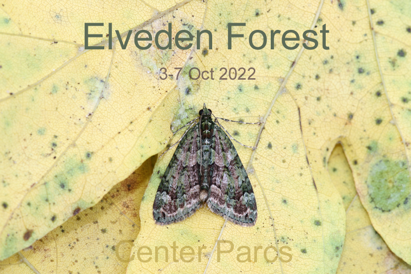 New trip report from Center Parcs Elveden Forest, Surrey 3-7 October 2022