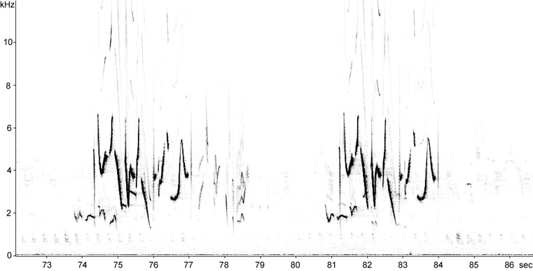Sonogram of Common Rosefinch song