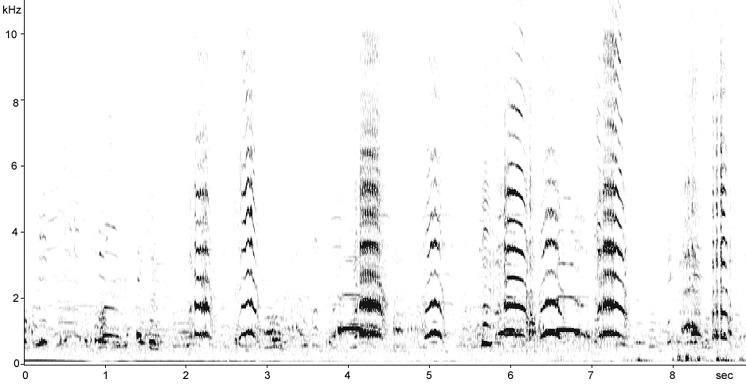 Sonogram of Eurasian Crane feeding calls