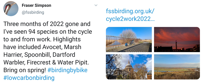 Birding by Bike to Work, Jan-Mar 2022