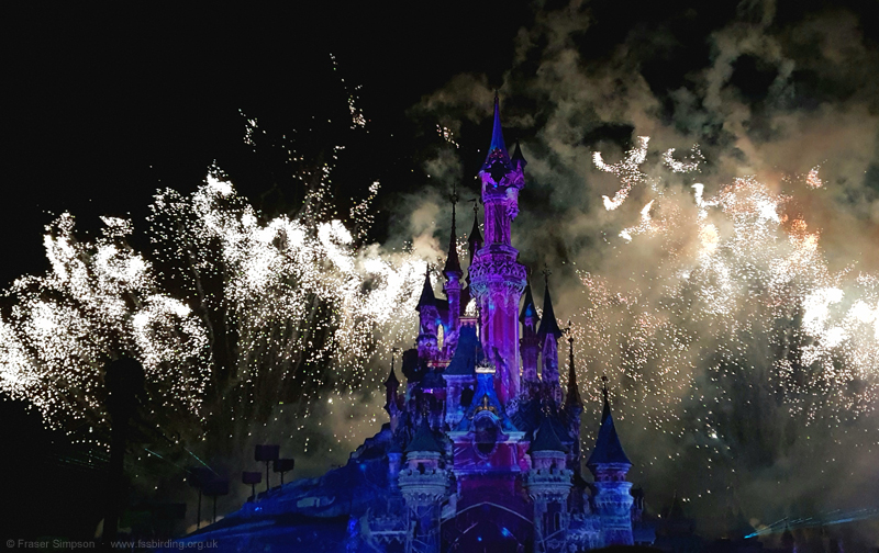 Fireworks, Disneyland Paris  Fraser Simpson