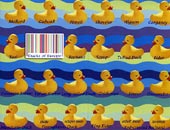 Ducks of Europe ID Guide