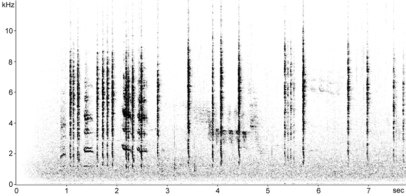 Sonogram of Eastern Subalpine Warbler calls
