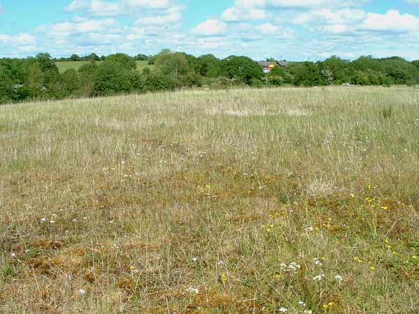 Point 2. Unimproved grassland at Knockentiber: Skylark, Grey Partridge & Snipe. (Knockentiber-Springside disused railway line) © Fraser Simpson