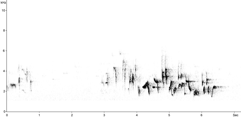 Sonogram of Garden Warbler song