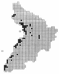 Grayling distribution in Ayrshire
