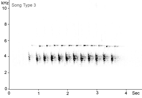 Sonogram of Great Tit song