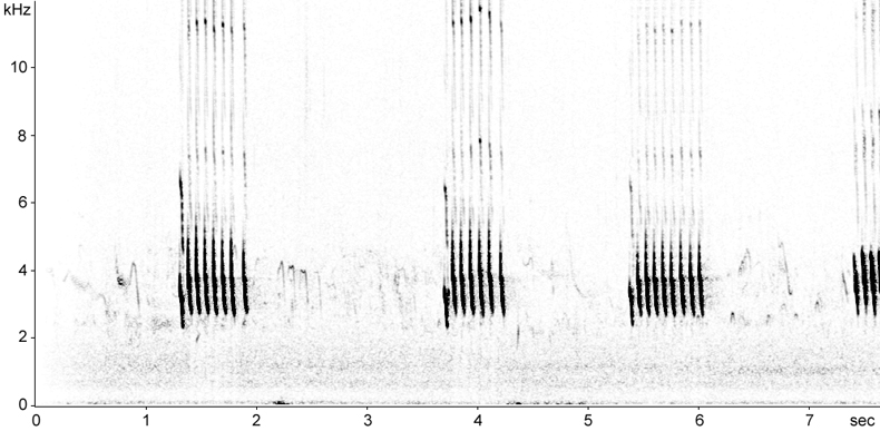 Sonogram of Greenfinch calls
