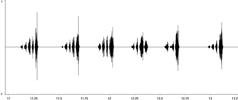 Oscillogram of Grey Bush-cricket stridulation [greybushcricket117399ecut]