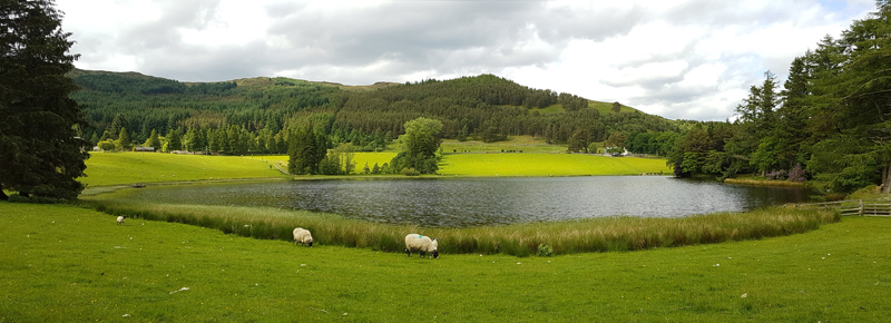 Straloch Loch © Fraser Simpson