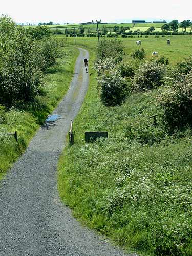 View from the bridge on the unclassified road: Yellowhammer, Whitethroat, Grey Partridge, etc. (Knockentiber-Springside disused railway line) © Fraser Simpson