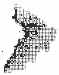 Large White distribution in Ayrshire