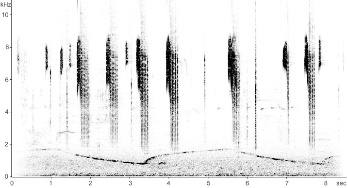 Sonogram of Long-tailed Tit calls