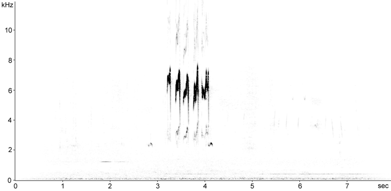 Sonogram of Meadow Pipit flight calls