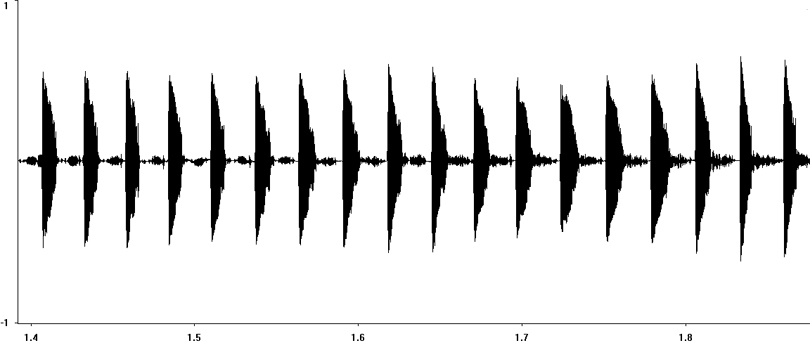 Oscillogram of Mole Cricket stridulation