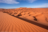 Saharan Dunes