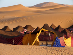Tents in the Dunes at Erg Chebbi  2007 Fraser Simpson