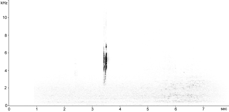 Sonogram of Pied Wagtail flight call
