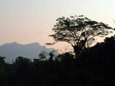Cordillera Azul