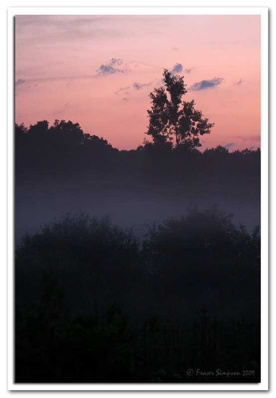 Sunset, Bialowieza Forest © 2009 Fraser Simpson