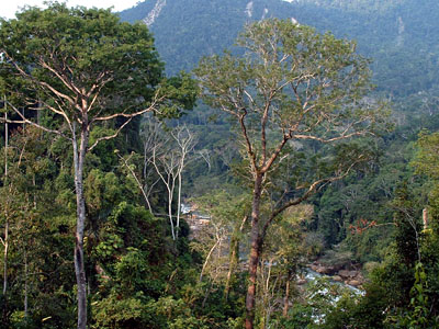 Rio Pauya, Parque Nacional Cordillera Azul