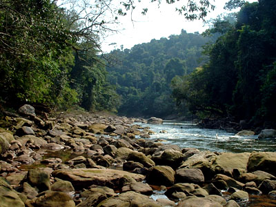 Rio Pauya