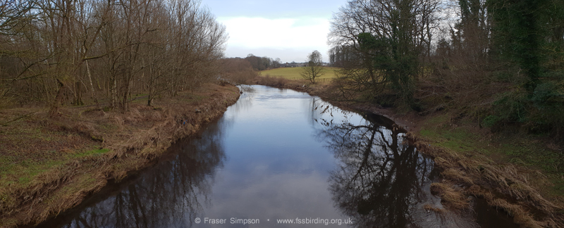 River Irvine, between Dreghorn and Shewalton, Ayrshire © Fraser Simpson 