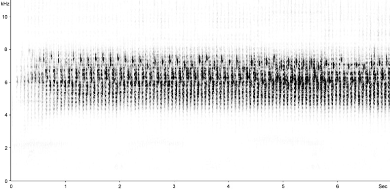Sonogram of River Warbler song