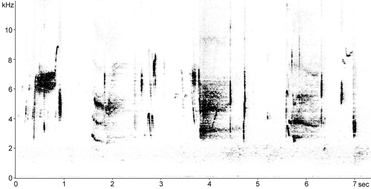 Sonogram of Saltmarsh Sparrow song