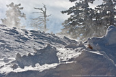 Sandia Peak Snowstorm