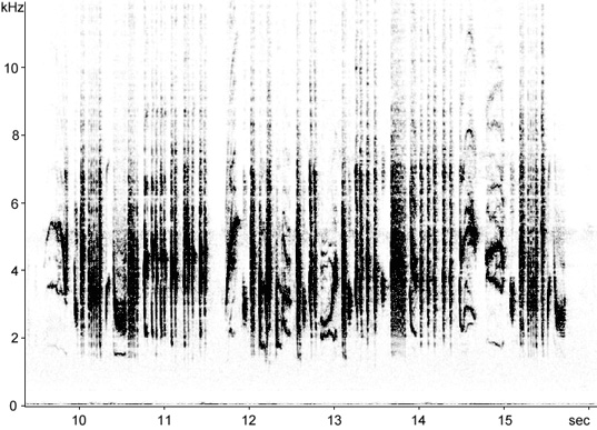 Sonogram of Sardinian Warbler song