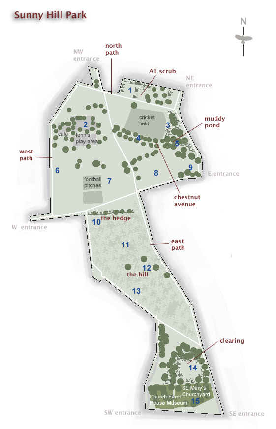 Sunny Hill Park map � Fraser Simpson