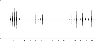 Oscillogram of Southern Oak Bush-cricket calling song