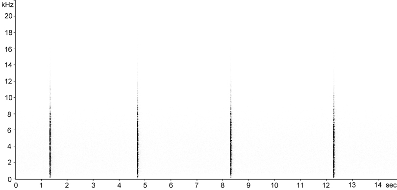 Sonogram of Speckled Bush-cricket stridulation [speckledbushcricket117346ecut]