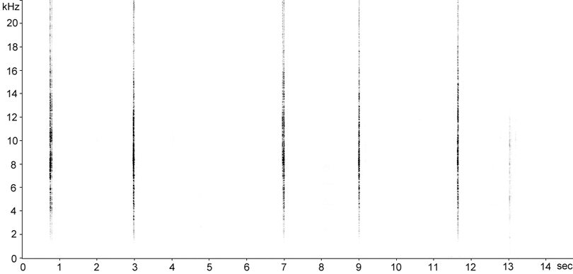 Sonogram of Speckled Bush-cricket stridulation [speckledbushcricket117980ecut]