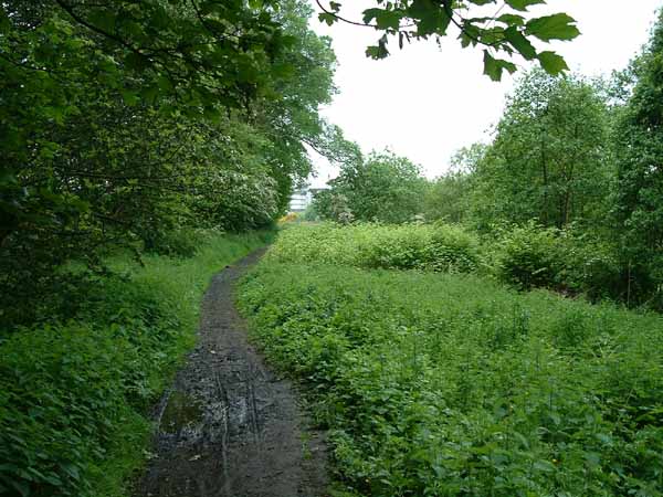 Townholm: attractive footpath from Dean Ford before it was replaced with unsightly tarmac