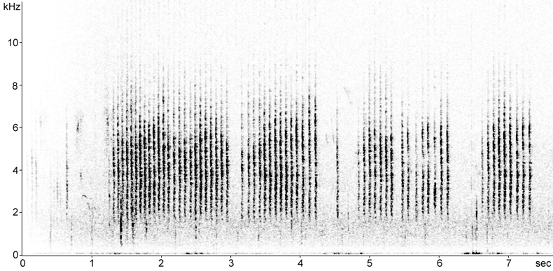 Sonogram of Tree Sparrow calls