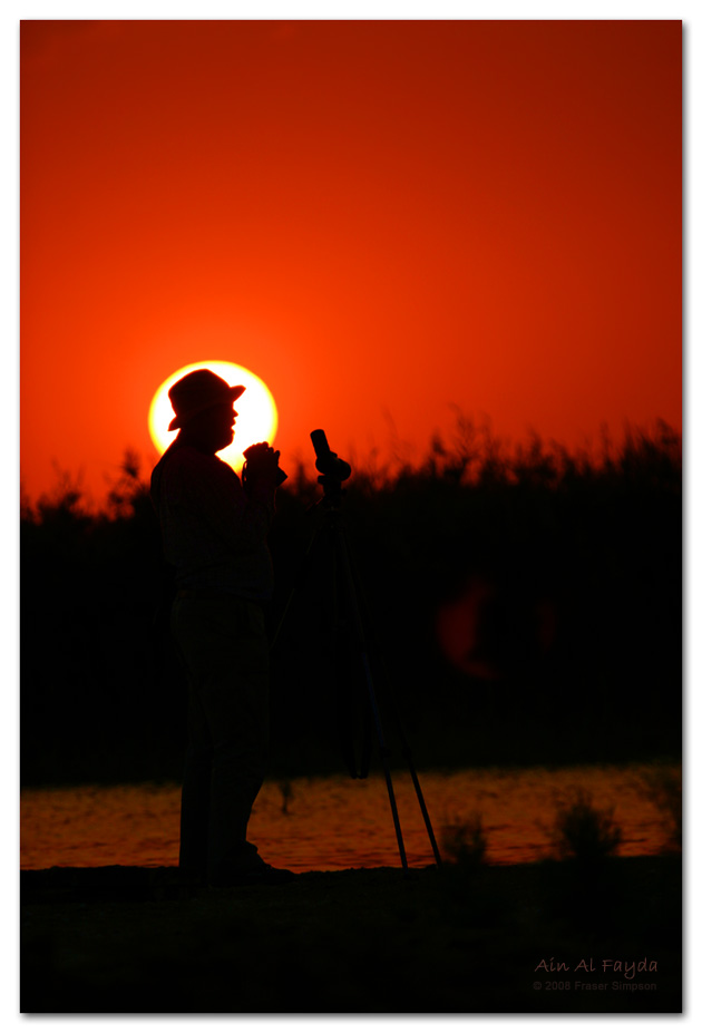 Birding at dusk, Ain al Fayda  Fraser Simpson