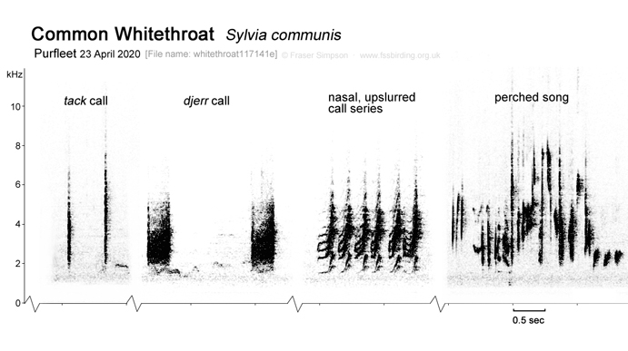 Sonogram of Whitethroat vocalisations